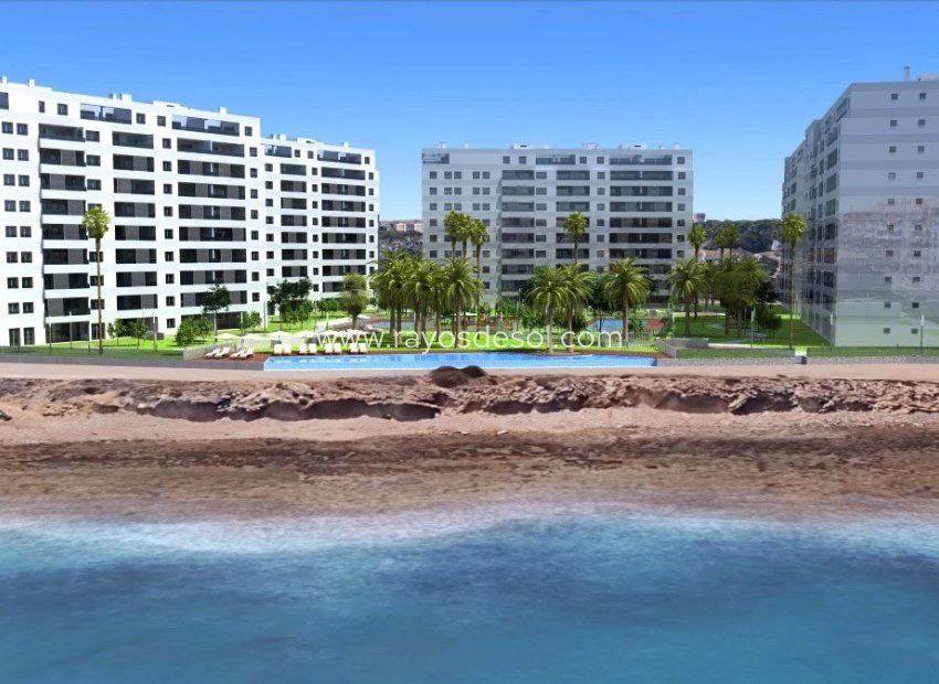 Neue Gebäude - Penthouse - Torrevieja - Punta Prima