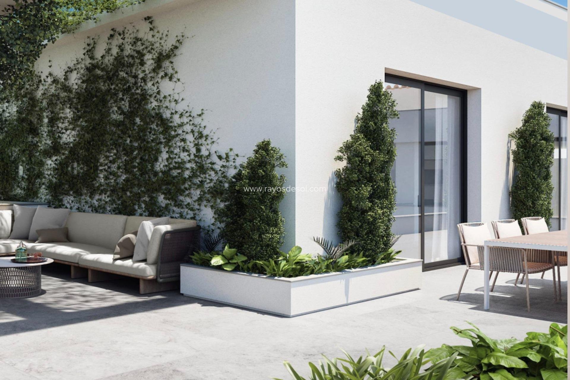 Neue Gebäude - Penthouse - Torrevieja