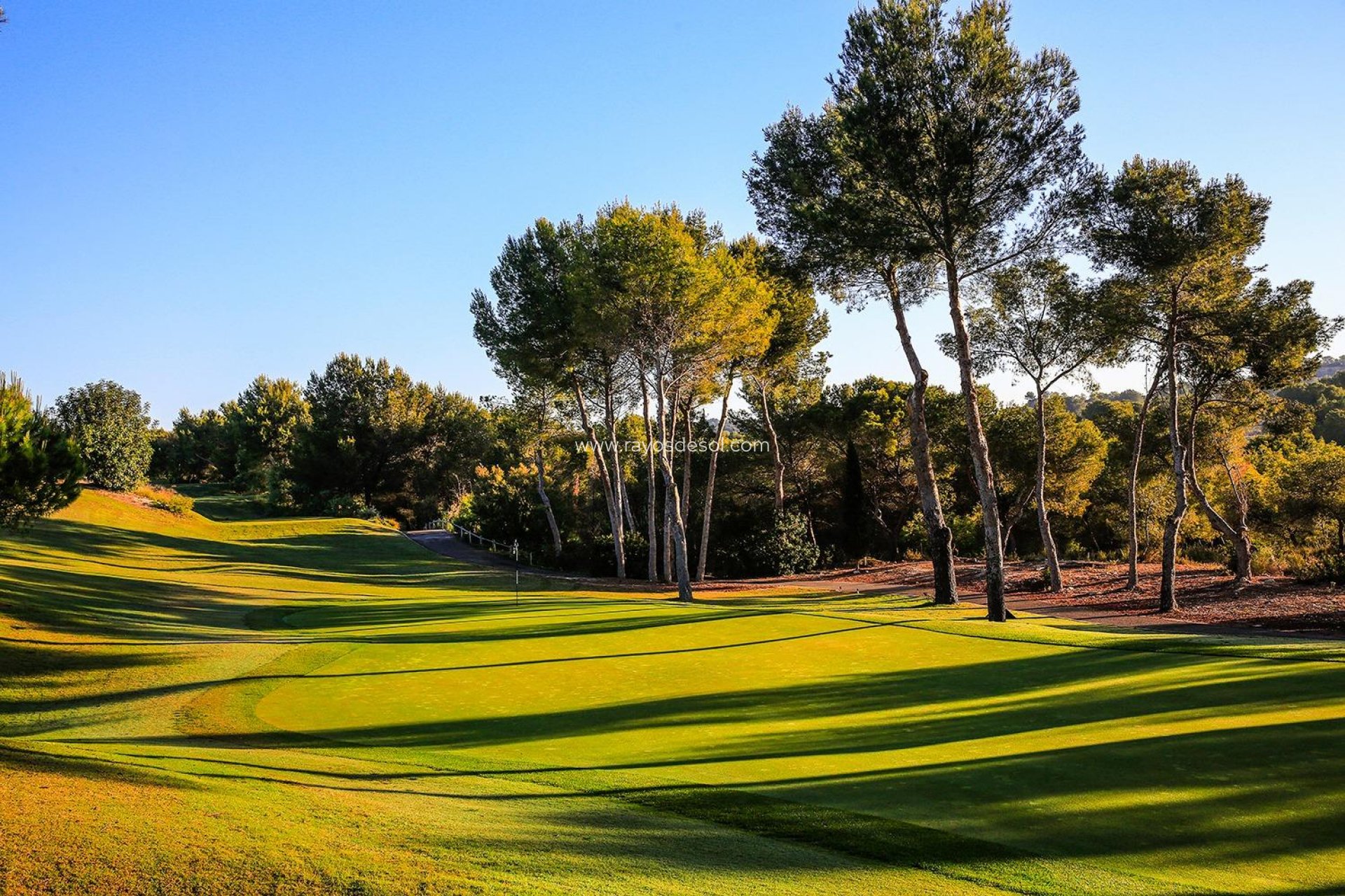 Neue Gebäude - Villa - Las Colinas Golf Resort - Las Colinas Golf