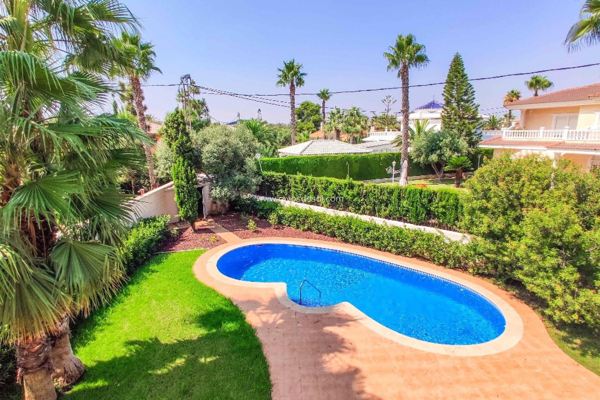 Neue Gebäude - Villa - Orihuela Costa - Cabo Roig