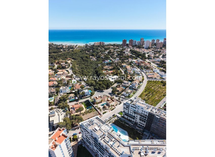 Neue Gebäude - Villa - Orihuela Costa - Dehesa de campoamor