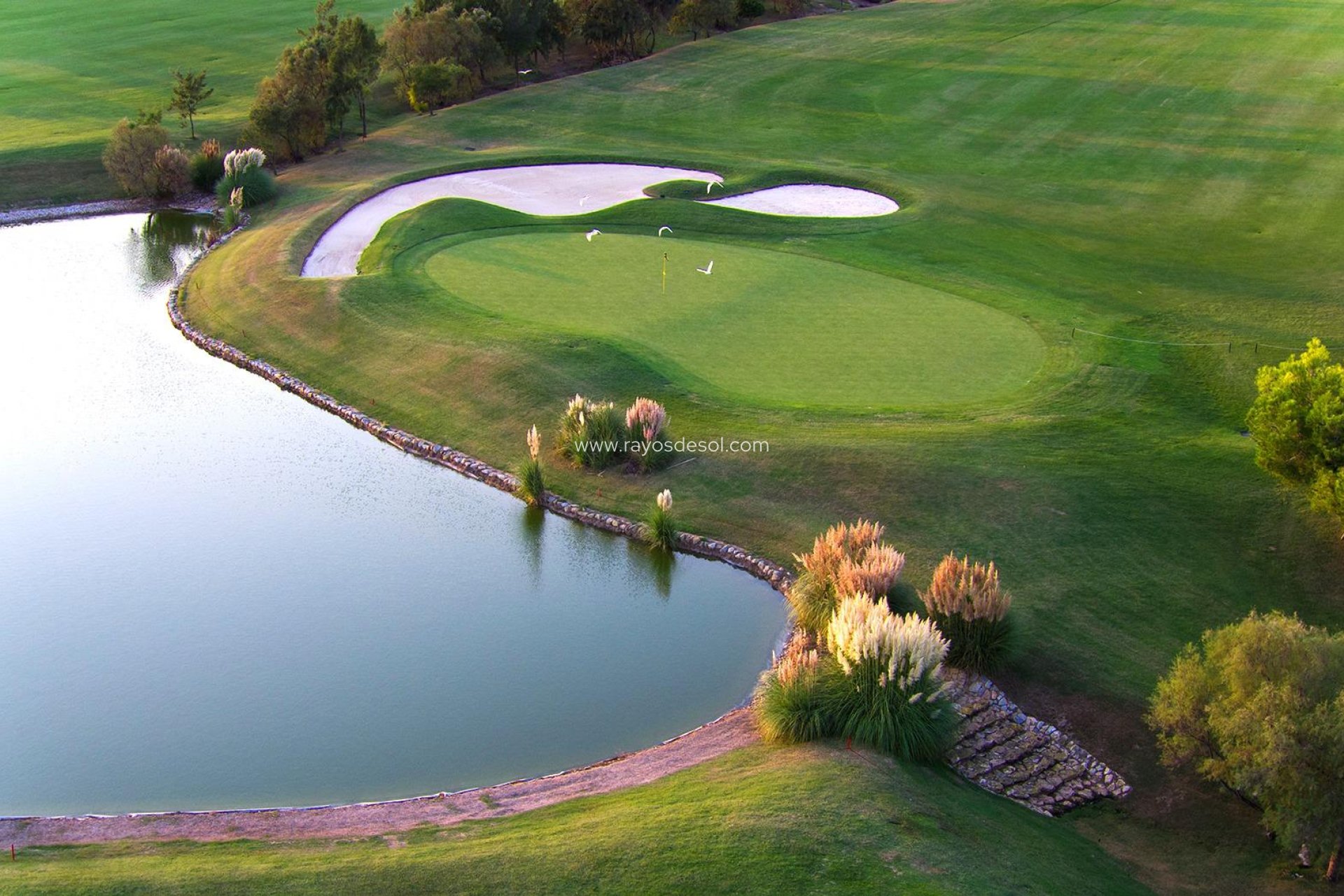 Neue Gebäude - Villa - Pilar de la Horadada - Lo Romero Golf