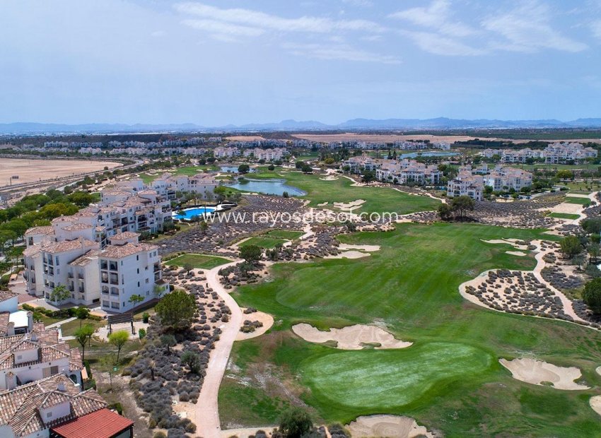 Neue Gebäude - Villa - Sucina