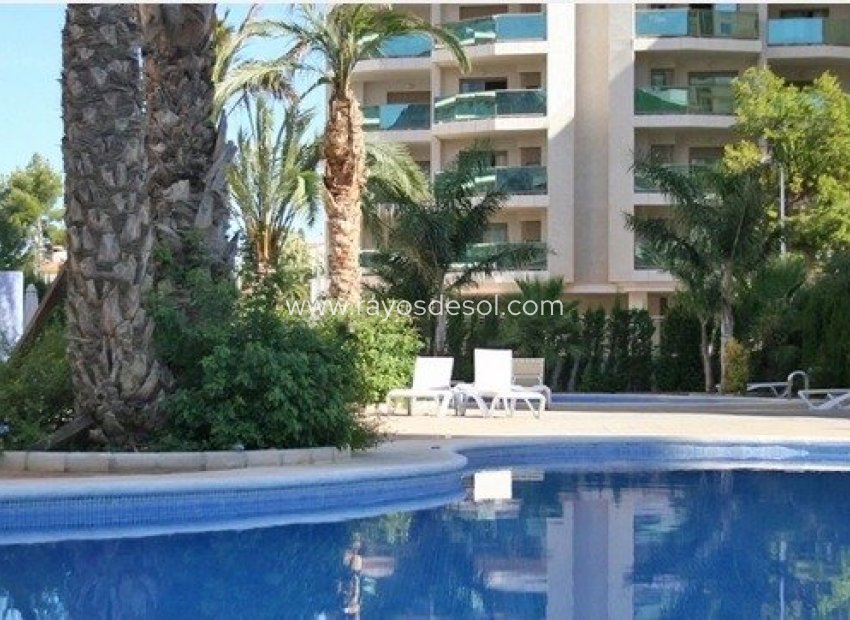 New Build - Apartment - Calpe - Calalga