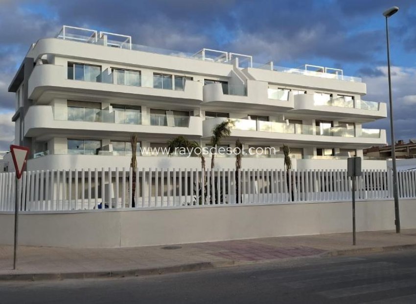 New Build - Apartment - Orihuela Costa - Cabo roig - La Zenia