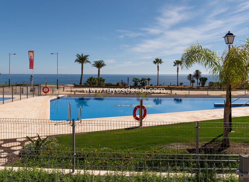 New Build - Apartment - Pulpi - Spain