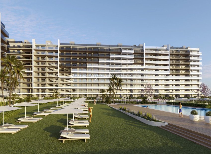New Build - Apartment - Torrevieja - Punta Prima