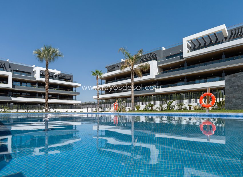 New Build - Apartment - Torrevieja - Spain