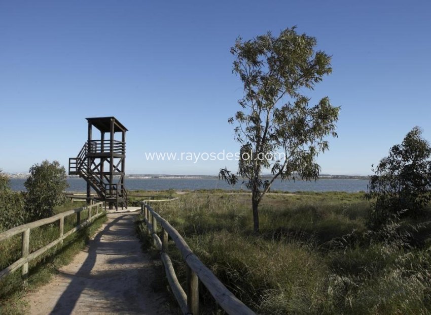 New Build - Apartment - Torrevieja - Torrejón