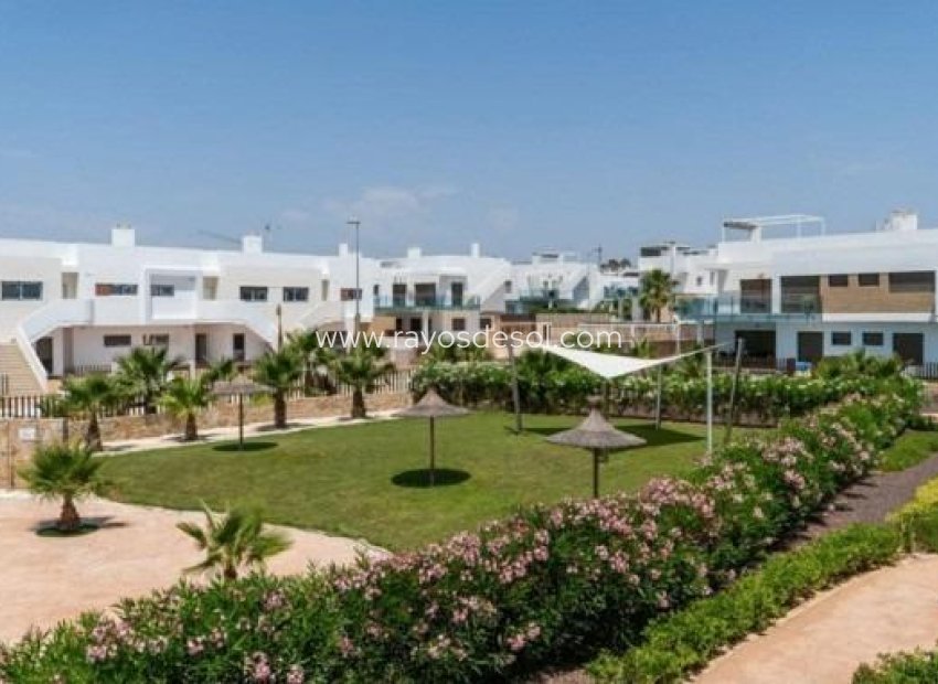 New Build - Apartment - Vistabella Golf - VISTABELLA GOLF