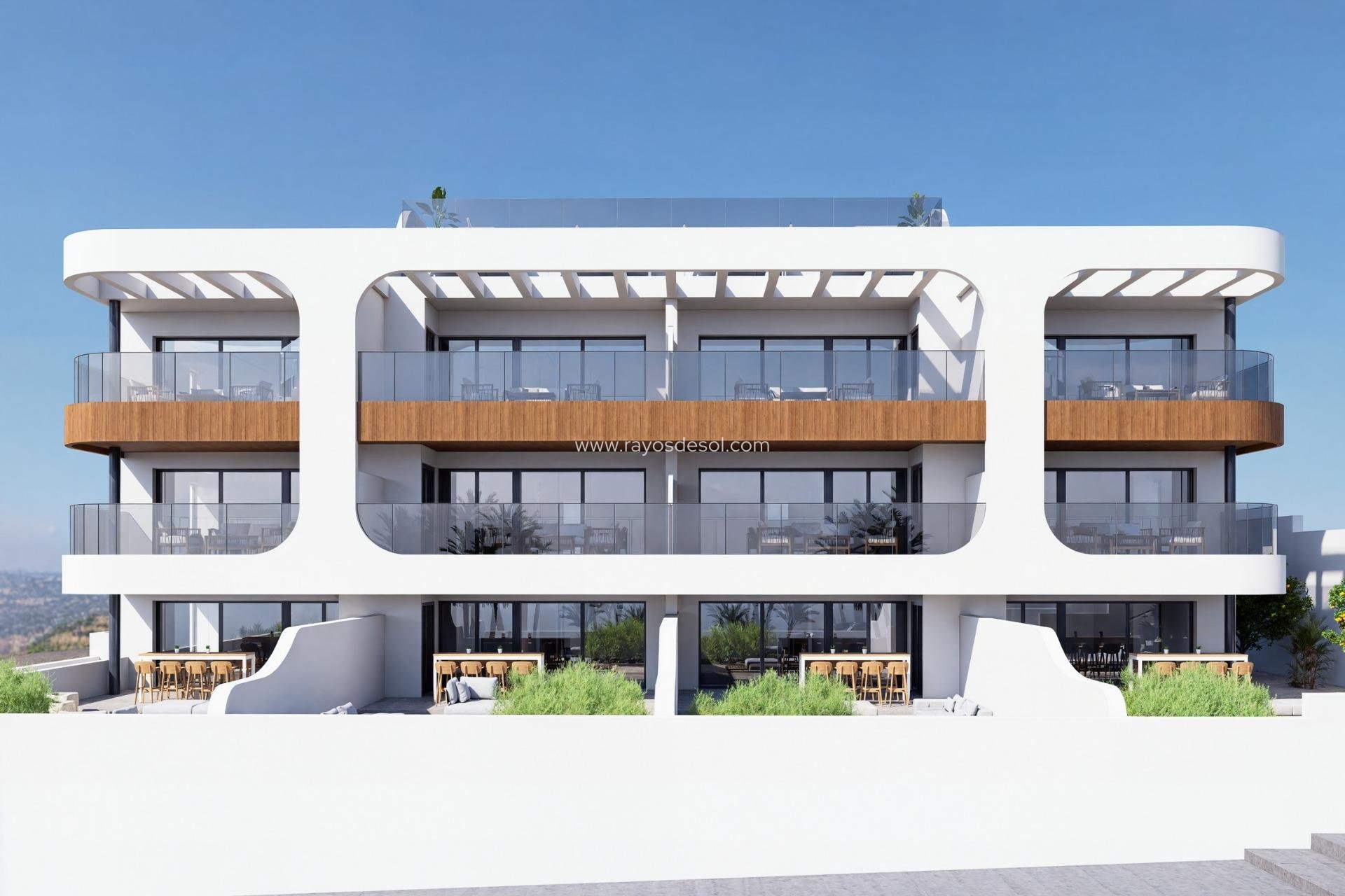 New Build - Penthouse - Benijofar - Centro