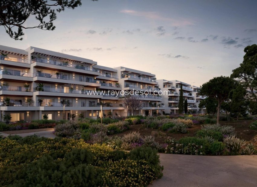 New Build - Penthouse - Denia - Playa de La Almadraba