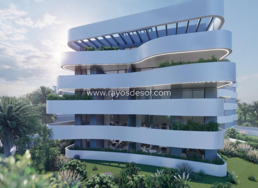 New Build - Penthouse - Guardamar del Segura - El Raso