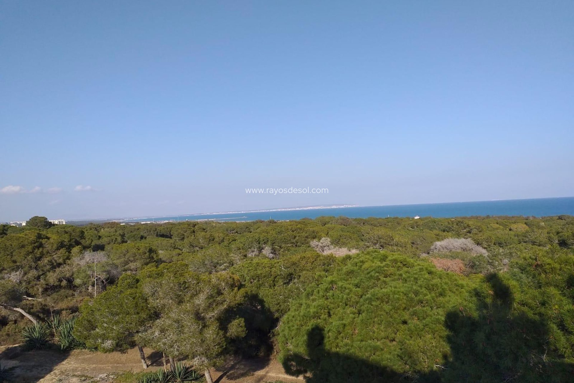 New Build - Penthouse - Guardamar del Segura - Guardamar pueblo