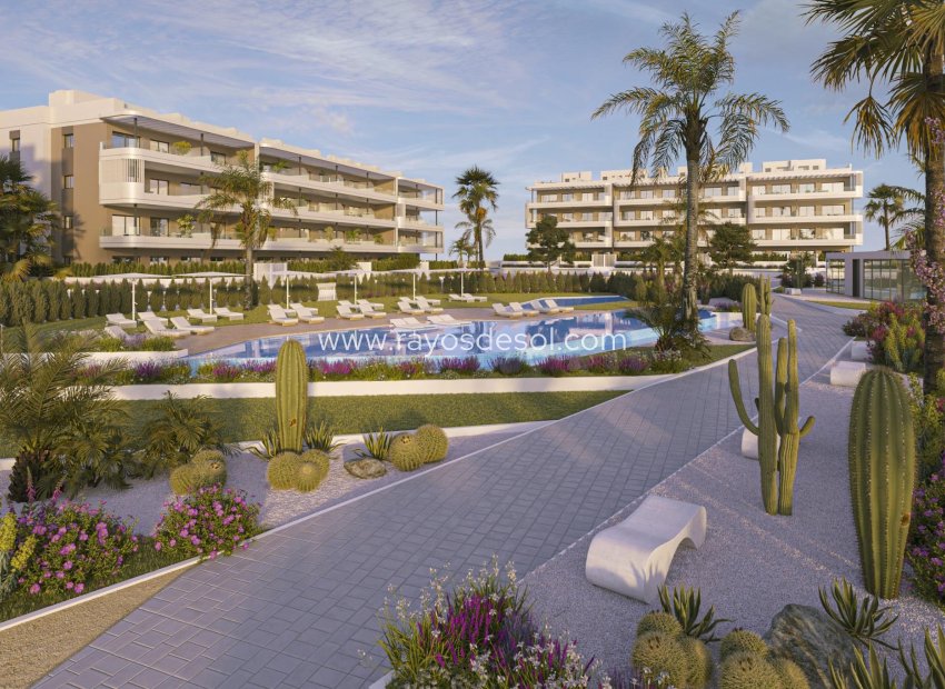New Build - Penthouse - Torrevieja - La Hoya