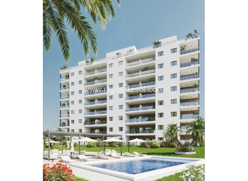 New Build - Penthouse - Villajoyosa - Cala de Finestrat