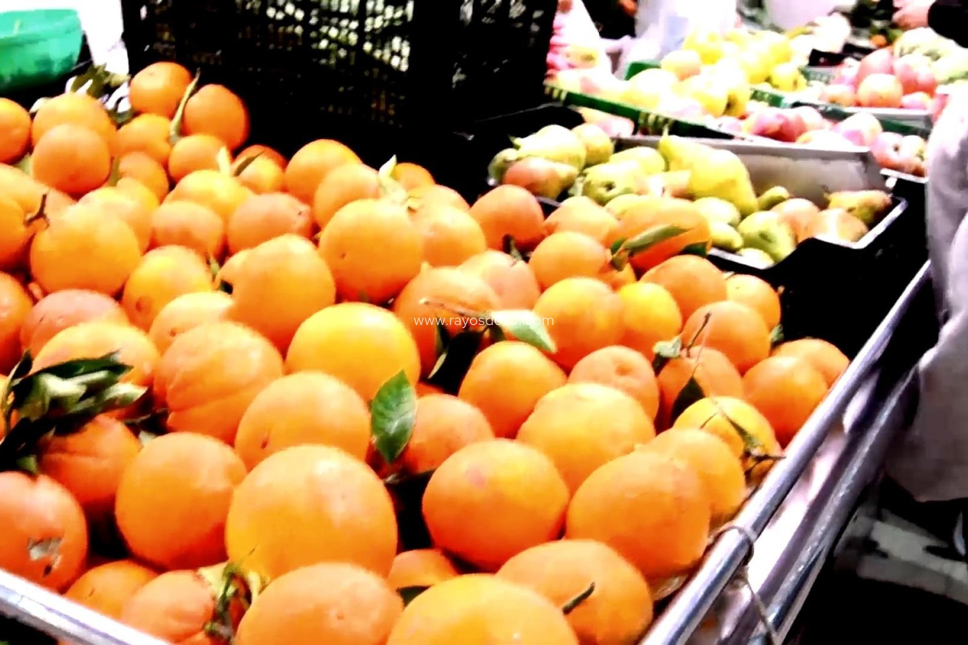 New Build - Studio - Torrevieja - Centro