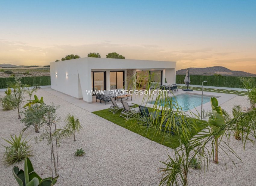 New Build - Villa - Calasparra - Coto Riñales