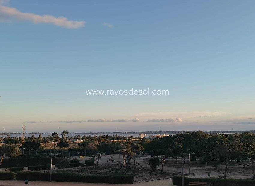 New Build - Villa - Los Montesinos - La Herrada