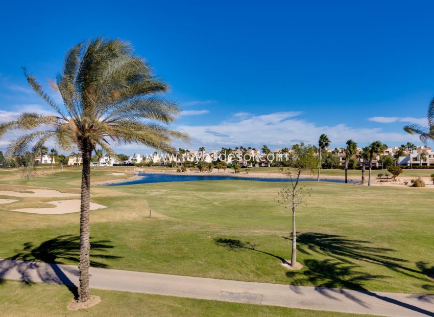New Build - Villa - Pilar de la Horadada - Lo Romero Golf