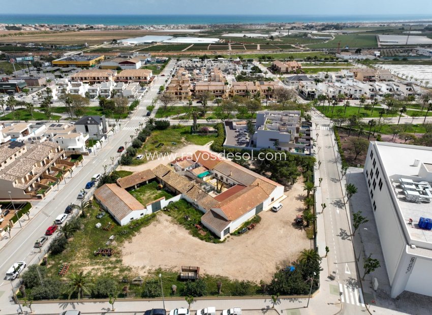 New Build - Villa - Pilar de la Horadada - parques de Andromeda