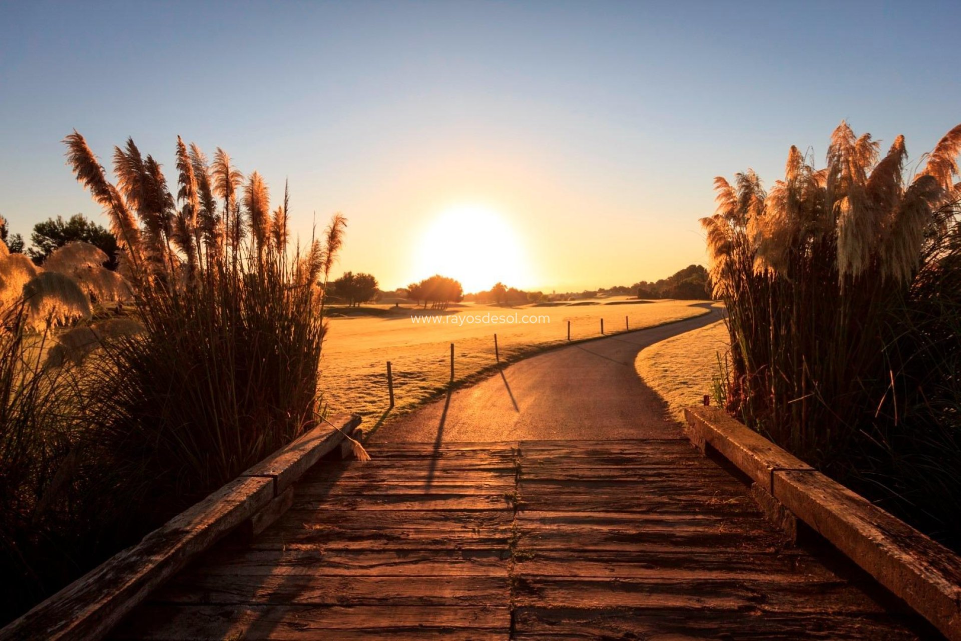 New Build - Villa - Pilar de la Horadada