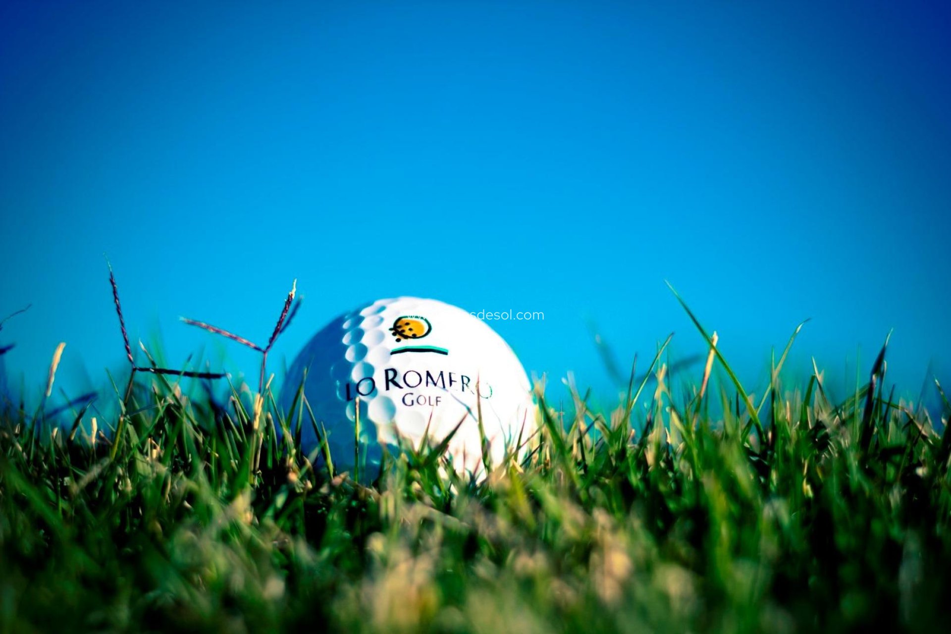 New Build - Villa - Pilar de la Horadada