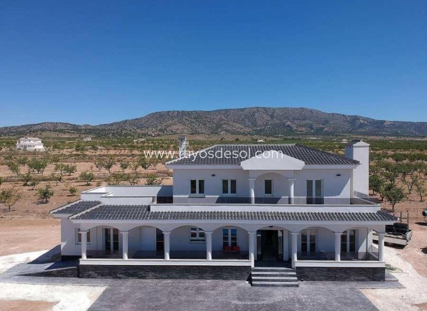 New Build - Villa - Pinoso - Camino Del Prado