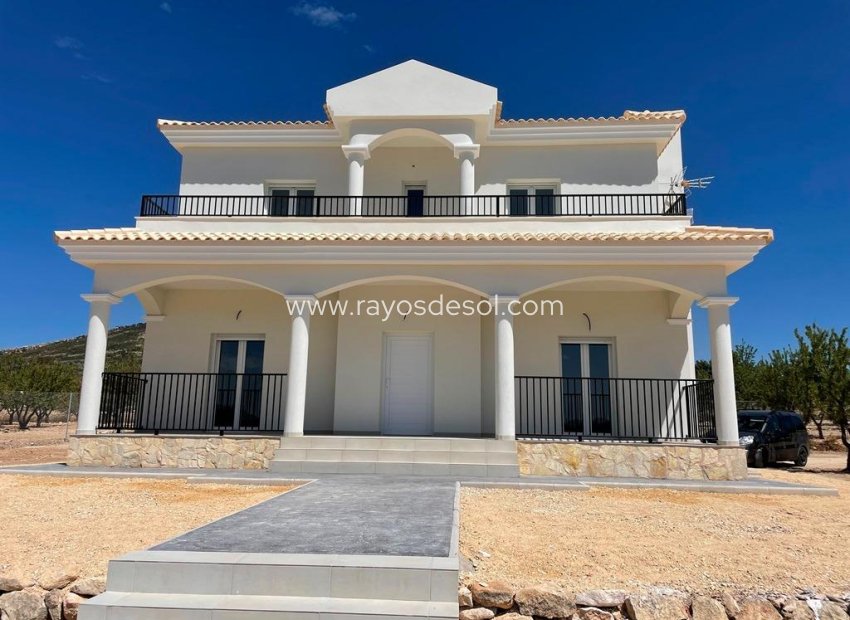 New Build - Villa - Pinoso - Camino Del Prado