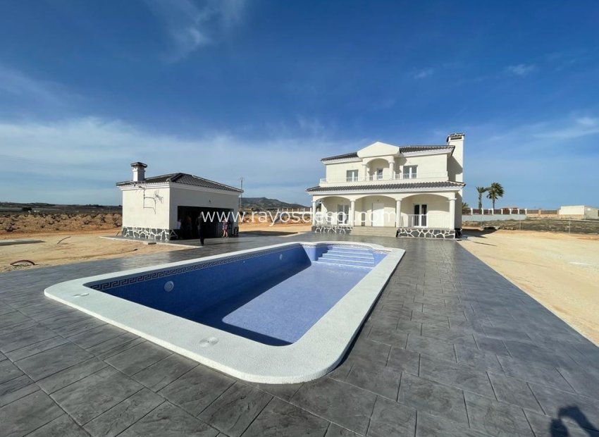 New Build - Villa - Pinoso - Camino Del Prado