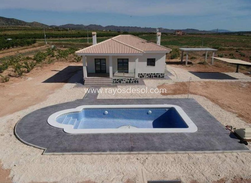 New Build - Villa - Pinoso - Camino Del Prado