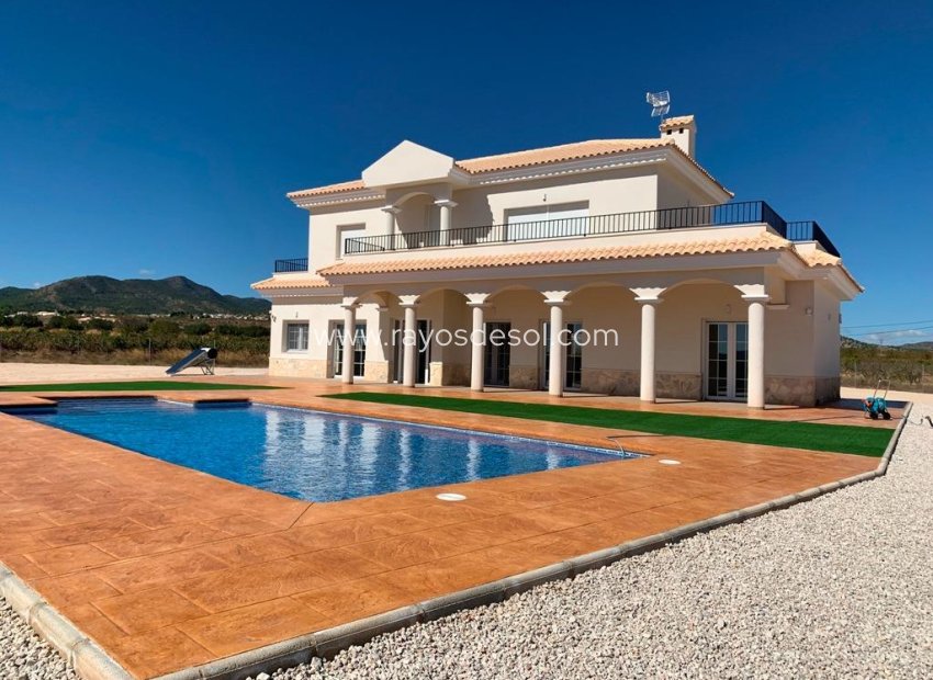 New Build - Villa - Pinoso - Camino Del Prado