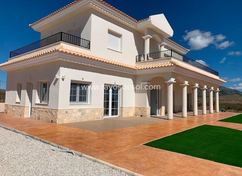 New Build - Villa - Pinoso - Camino Del Prado