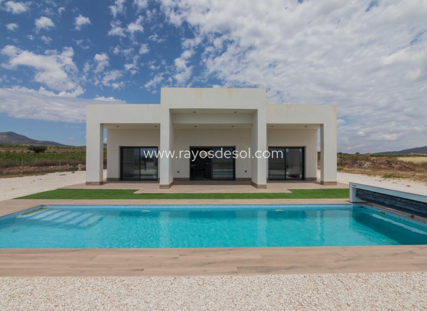 New Build - Villa - Pinoso - Campo