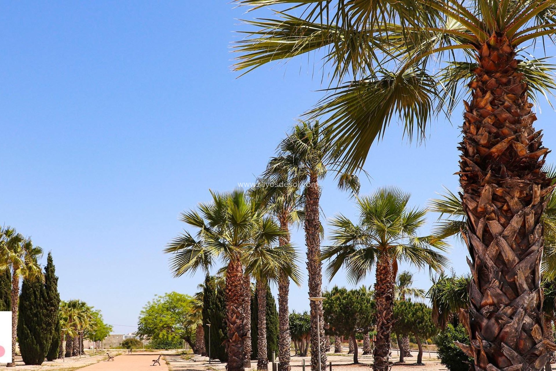 New Build - Villa - San Fulgencio - La Marina Urbanizacion