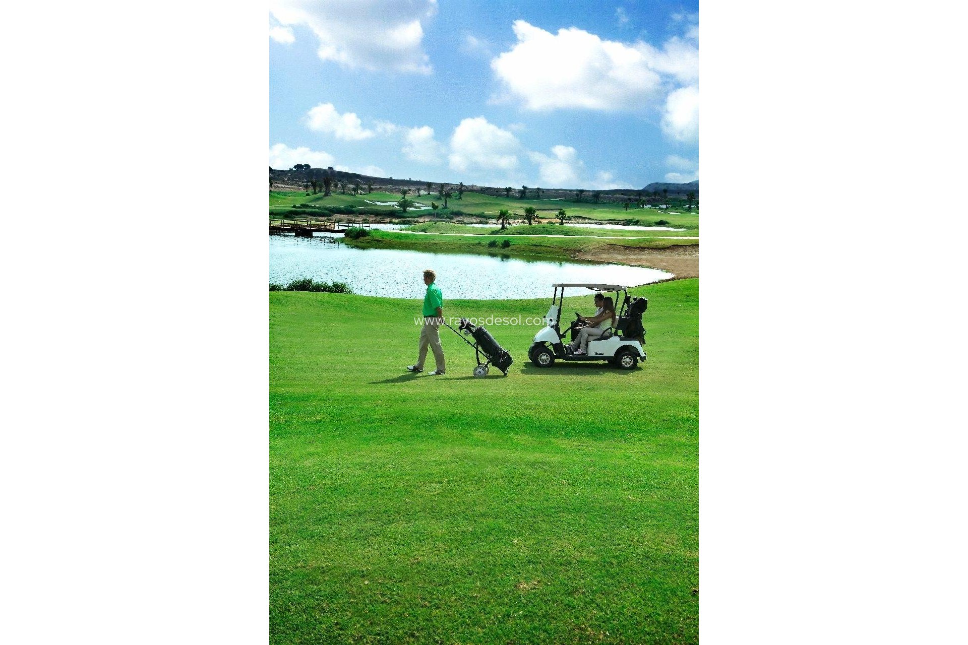 New Build - Villa - Vistabella Golf - VISTABELLA GOLF