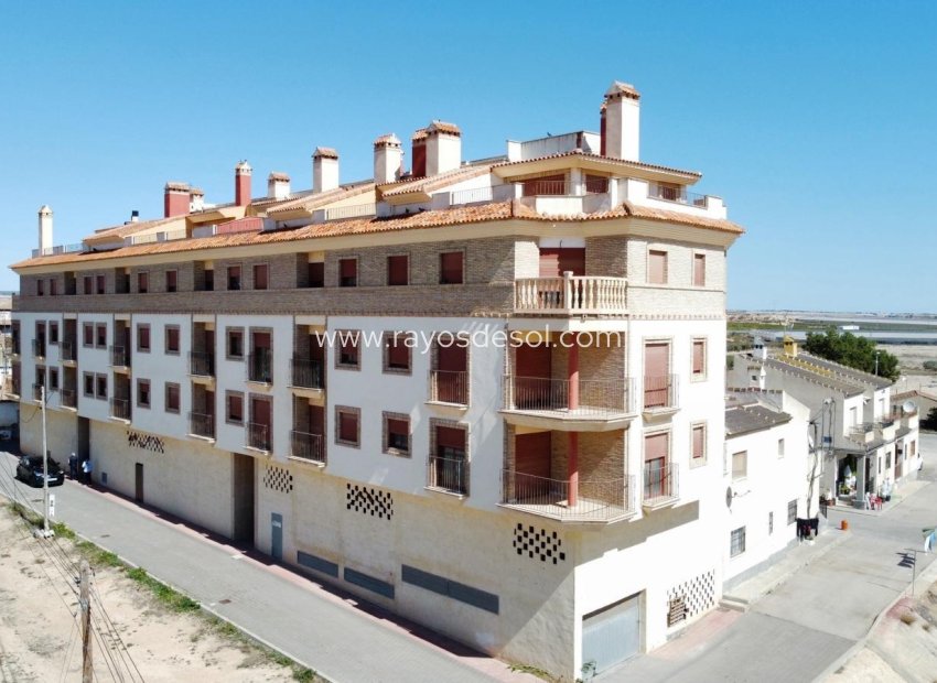 Nieuwbouw - Appartement - Avileses - pueblo