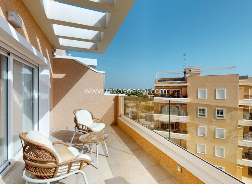 Nieuwbouw - Appartement - Guardamar del Segura - El Raso