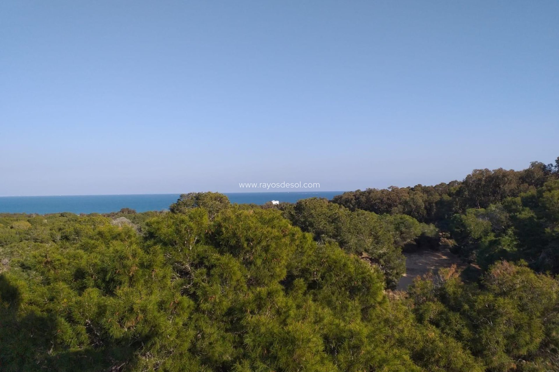 Nieuwbouw - Appartement - Guardamar del Segura - Guardamar pueblo