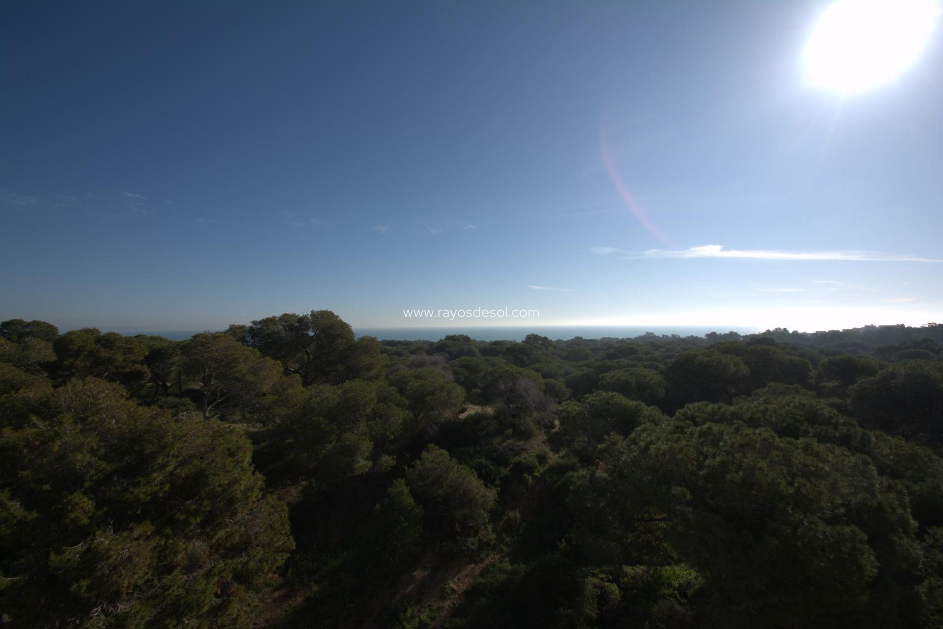 Nieuwbouw - Appartement - Guardamar del Segura - Guardamar pueblo