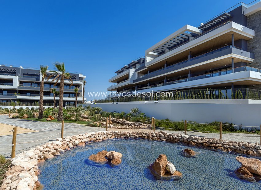 Nieuwbouw - Appartement - Torrevieja - Spain
