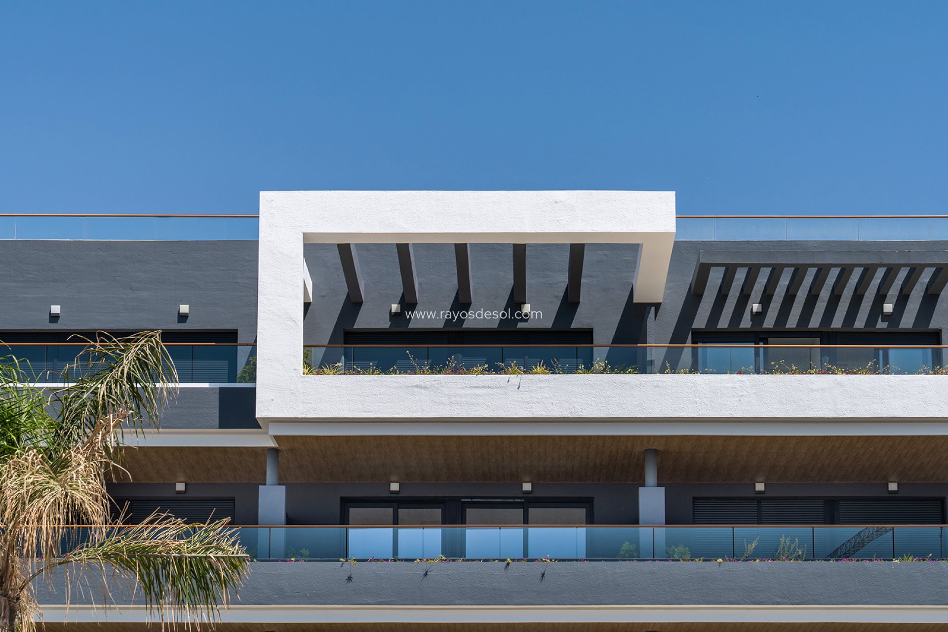 Nieuwbouw - Appartement - Torrevieja - Spain