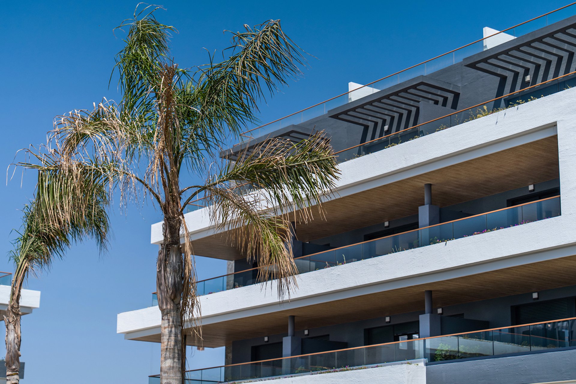 Nieuwbouw - Appartement - Torrevieja - Spain