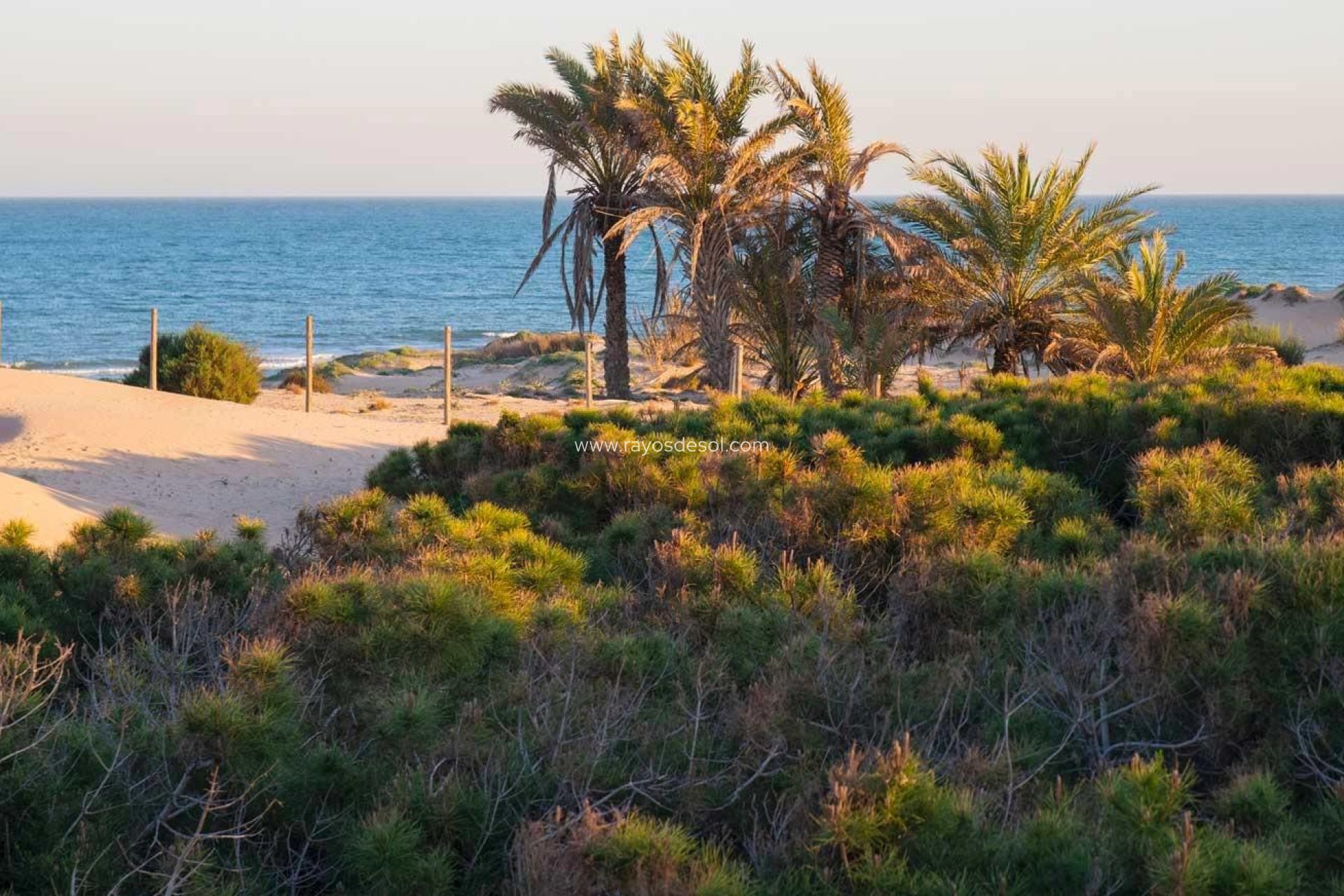 Nieuwbouw - Penthouse - Guardamar del Segura - Avda del Puerto