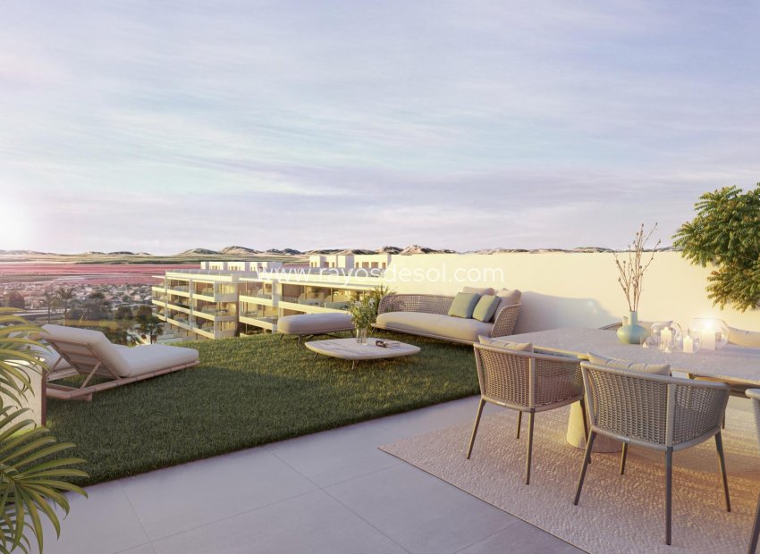 Nieuwbouw - Penthouse - Torrevieja - La Hoya