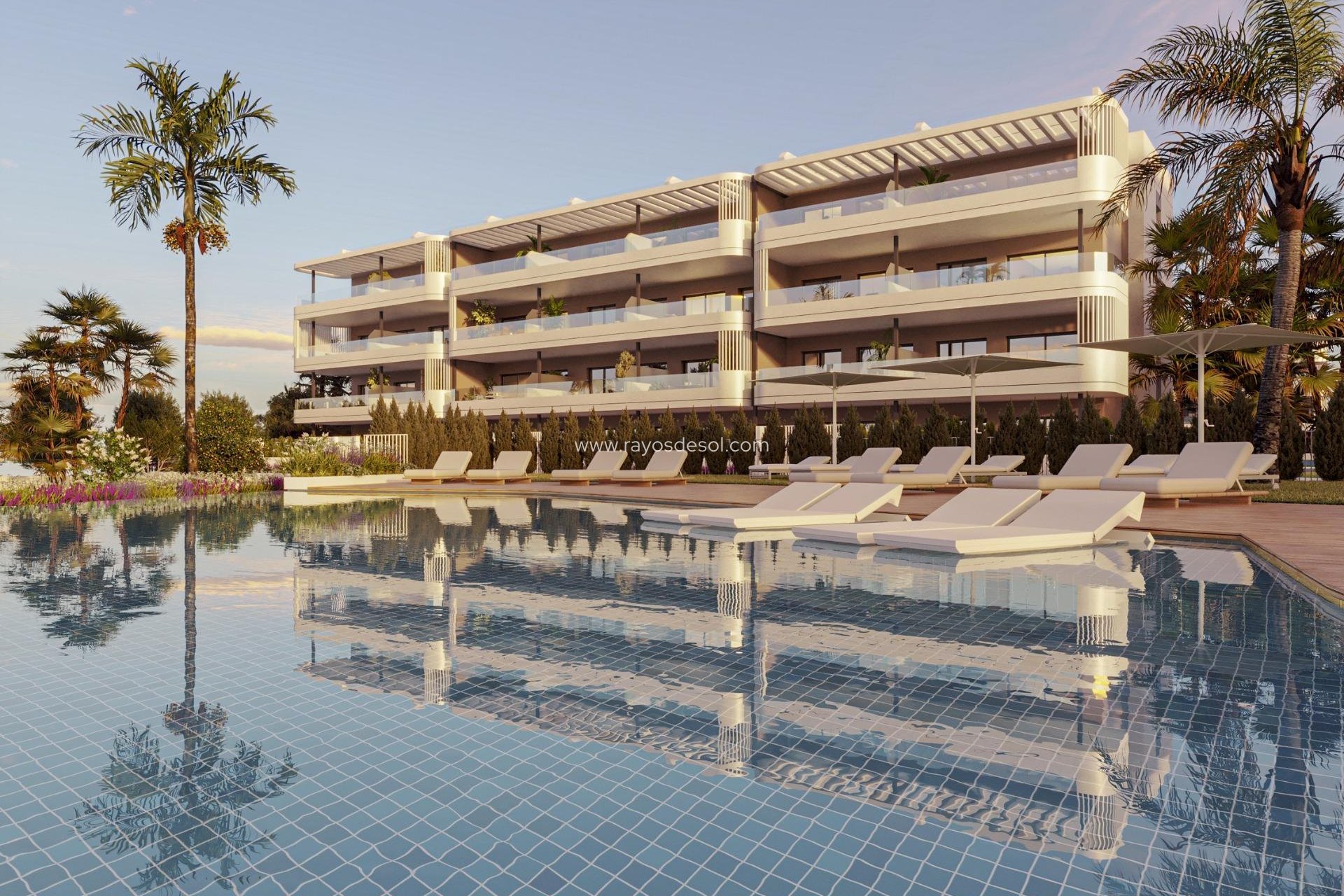 Nieuwbouw - Penthouse - Torrevieja - La Hoya