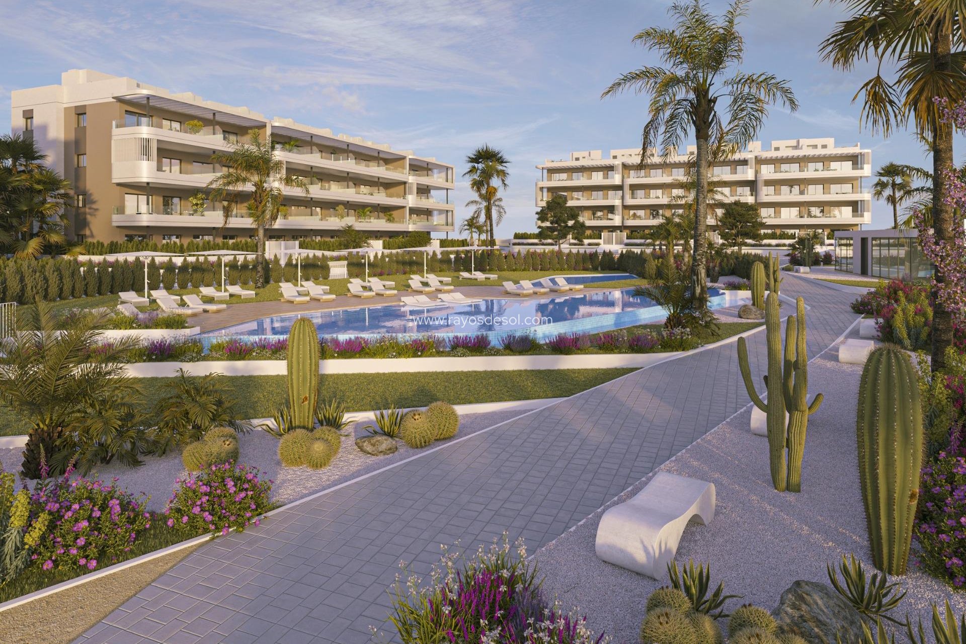 Nieuwbouw - Penthouse - Torrevieja - La Hoya