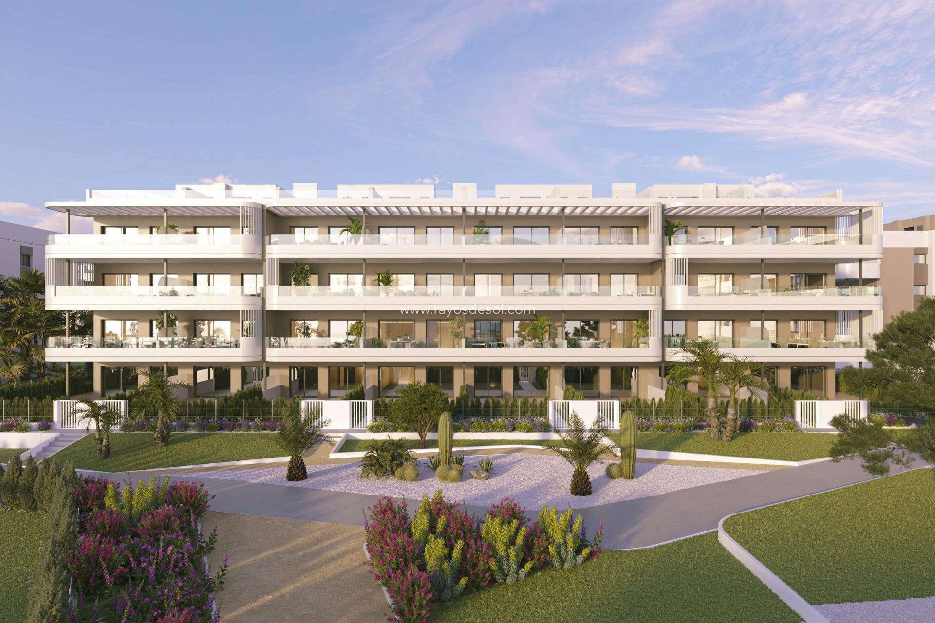 Nieuwbouw - Penthouse - Torrevieja - La Hoya