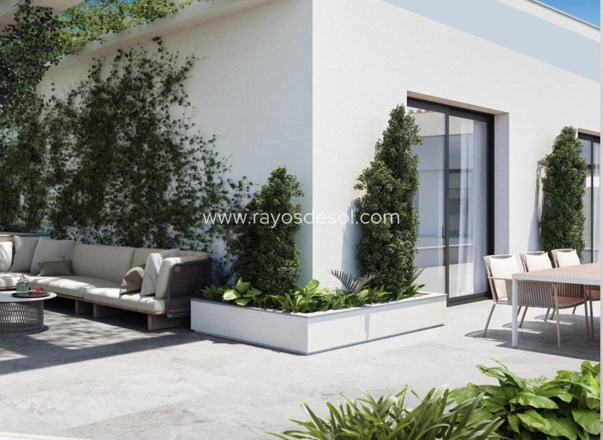 Nieuwbouw - Penthouse - Torrevieja