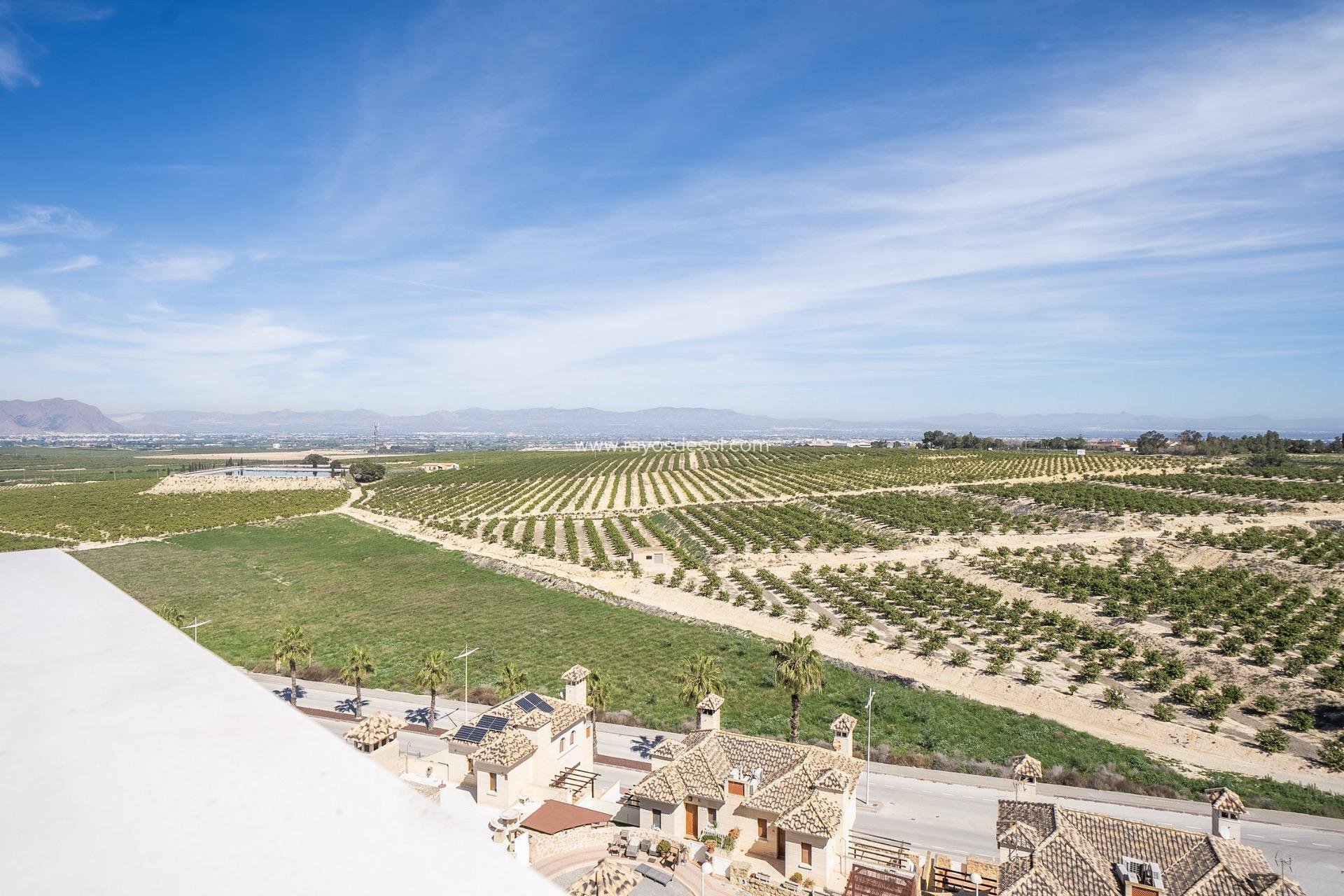 Nieuwbouw - Villa - Algorfa - La Finca Golf